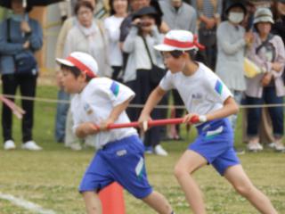 P5300126.JPG