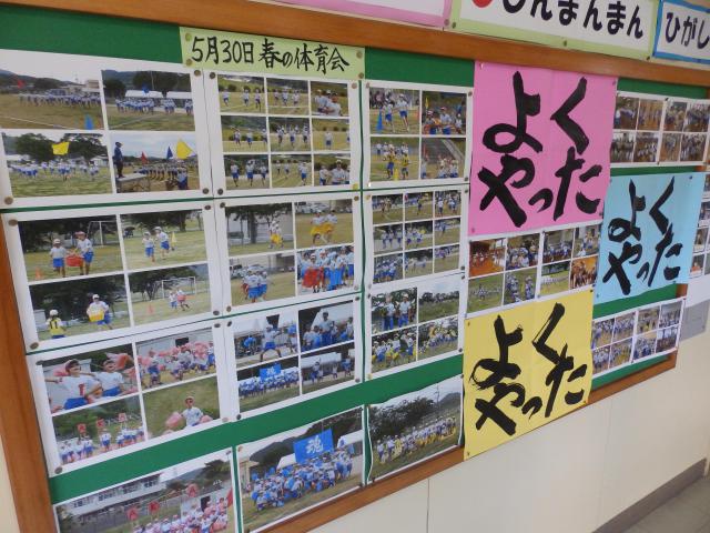 P5310006.JPG