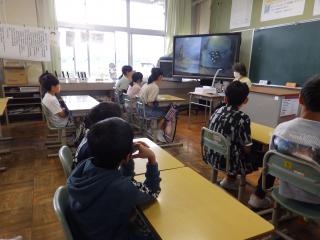 P6040015.JPG