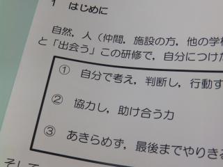 P6100002.JPG