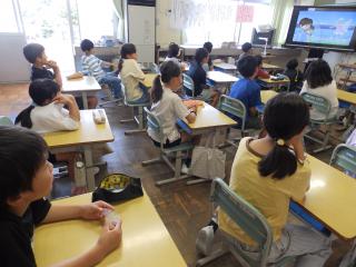 P6100012.JPG