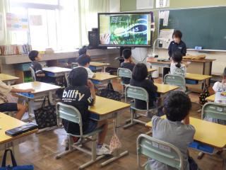 P6110009.JPG