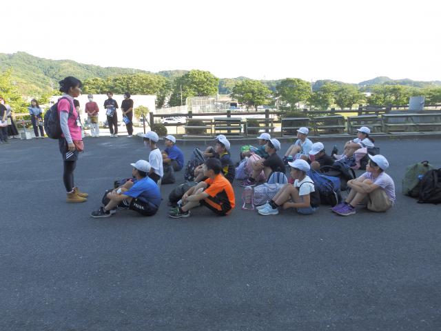 P6130051.JPG