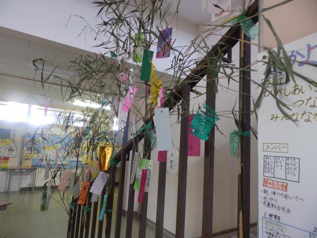 P7040008.JPG