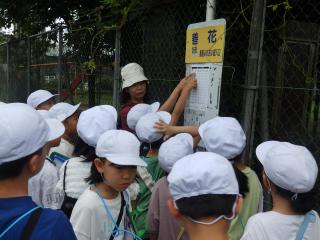 P7100001.JPG