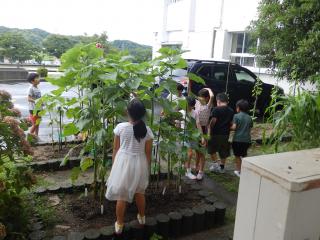 P7100009.JPG