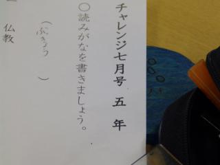 P7110051.JPG
