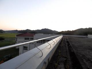 P9040019.JPG