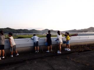 P9040033.JPG