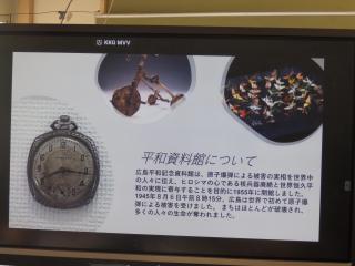 P9060063.JPG