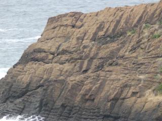 PA290032.JPG