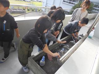 PB140038.JPG