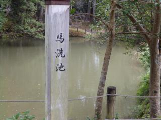 PB270072.JPG
