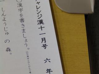 PB280007.JPG