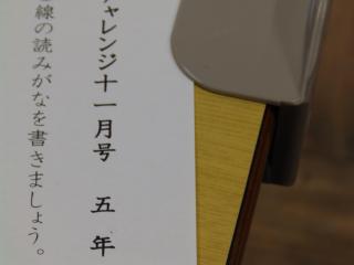 PB280010.JPG