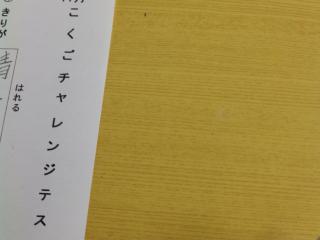 PB280039.JPG
