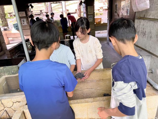 image2 (2).jpeg