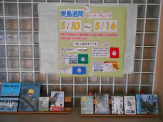 DSCN0689.JPG