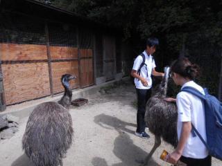 DSCN2348.JPG