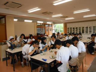 DSCN2447.JPG