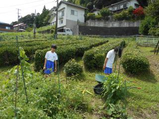 DSCN2631.JPG