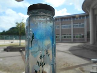 DSCN3432.JPG