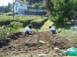 DSCN3506.JPG