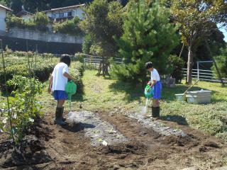 DSCN3509.JPG