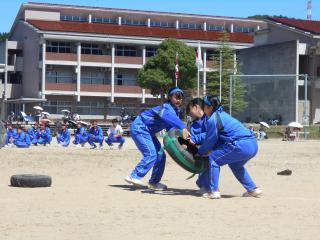 DSCN4604.JPG