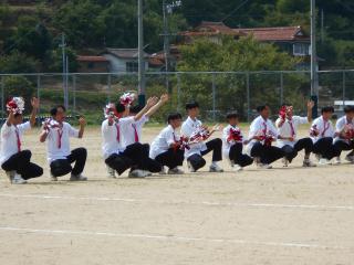 DSCN4697.JPG