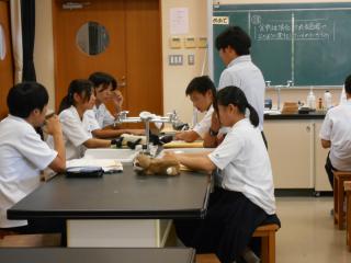 DSCN5045.JPG