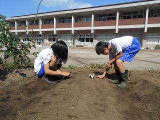 DSCN5166.JPG