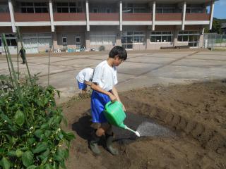 DSCN5170.JPG