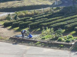 DSCN6643.JPG