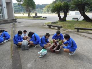 DSCN6686.JPG