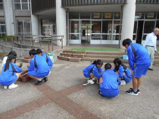 DSCN6689.JPG