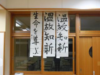 DSCN7557.JPG