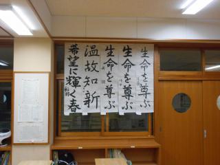 DSCN7559.JPG