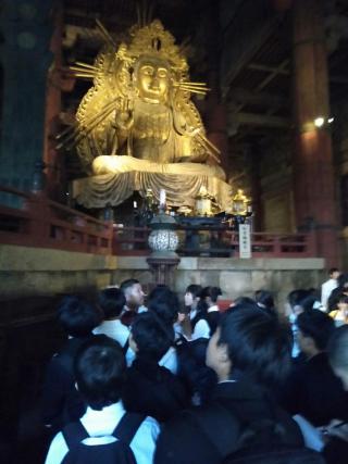 IMG_3910.jpeg