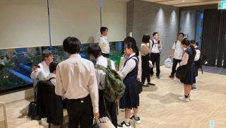 IMG_3930.jpeg