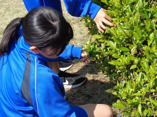 DSC00151.JPG