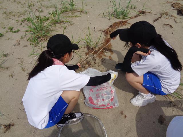 DSC00269.JPG