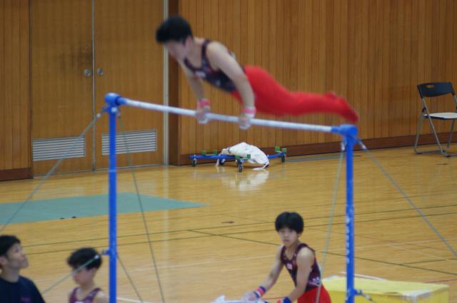 DSC02187.JPG