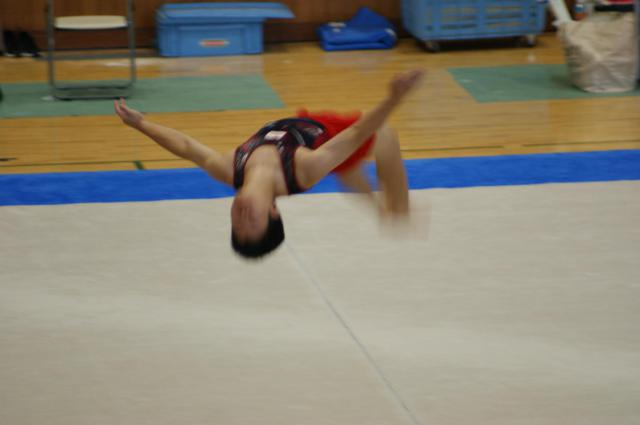 DSC02248.JPG