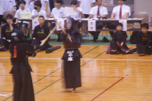 DSC02998.JPG
