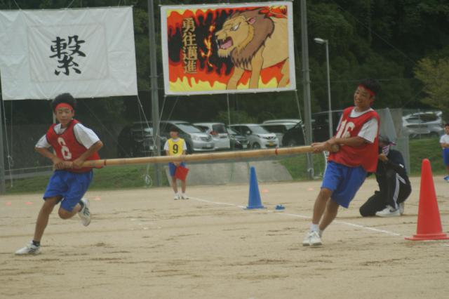 DSC04203.JPG