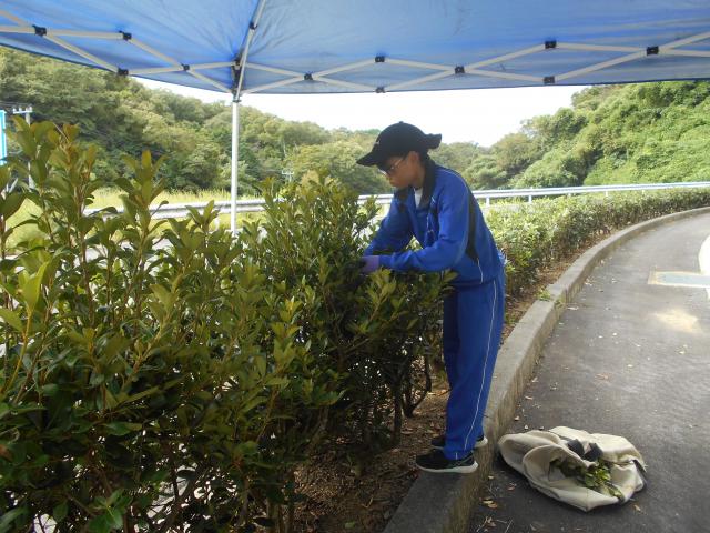 DSCN4468.JPG