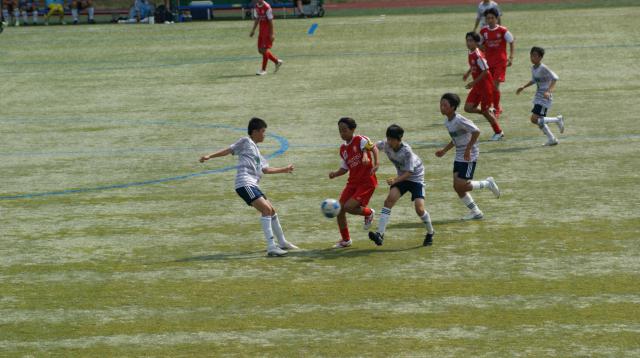 DSC00329.JPG