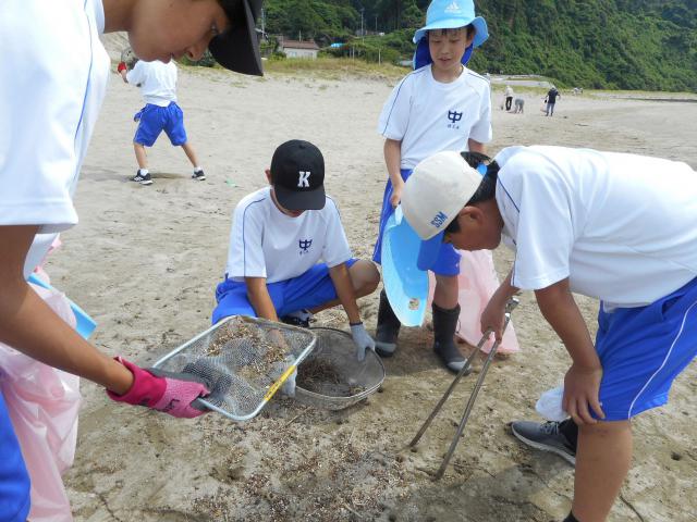 DSCN4706.JPG
