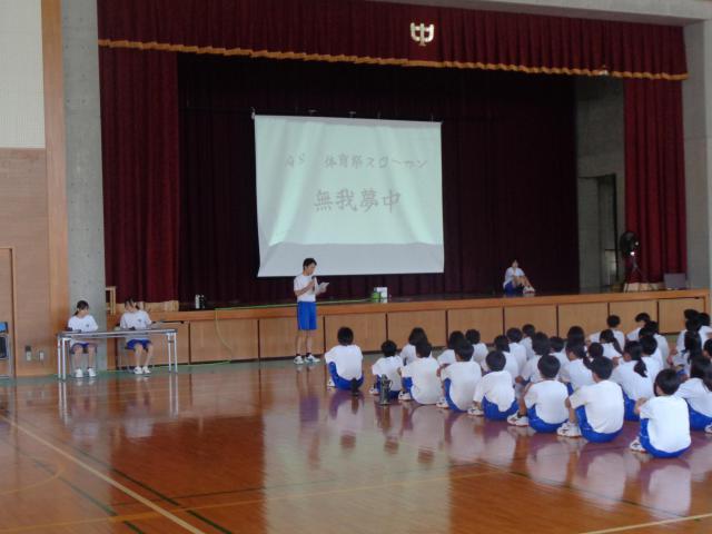 DSC01352.JPG